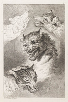 KG 01102
<br/>
Serie honden, wolven en leeuwen (11 bladen)
<br/>
<em>Ridinger, Johann Elias (1698-1767)</em>
